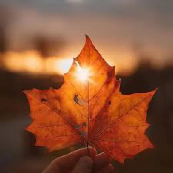 🍂🍁🍂 🚂💨💨💨🍂🍁🍂🍁 WELCOME TO MY LIVE SHOW!!!🚂 - Picture 5 of 9